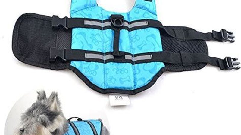 海鲜养殖制冷机组：价格背后的考量因素