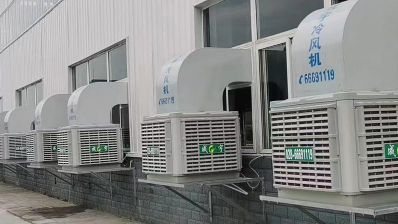 肉类速冻冷库造价预算：关键因素与优化策略